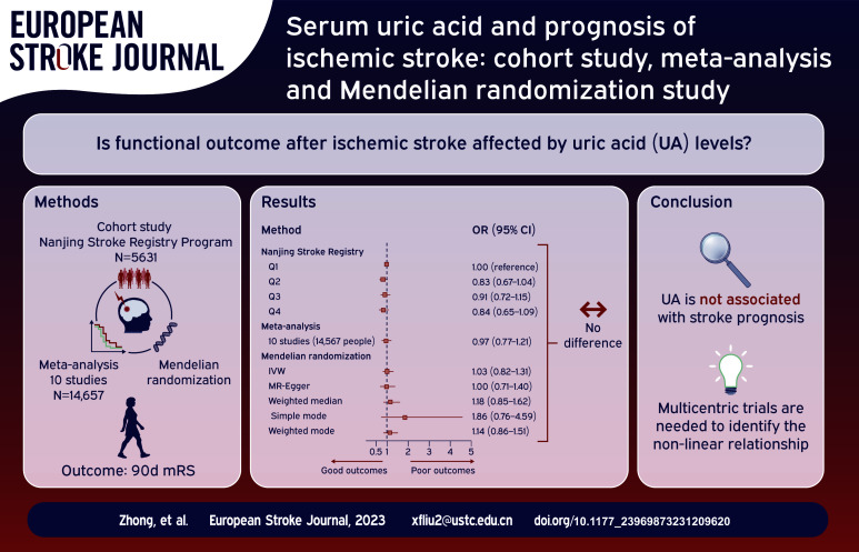 Graphical abstract