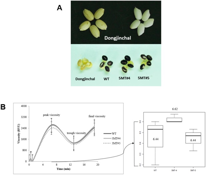 Fig 6