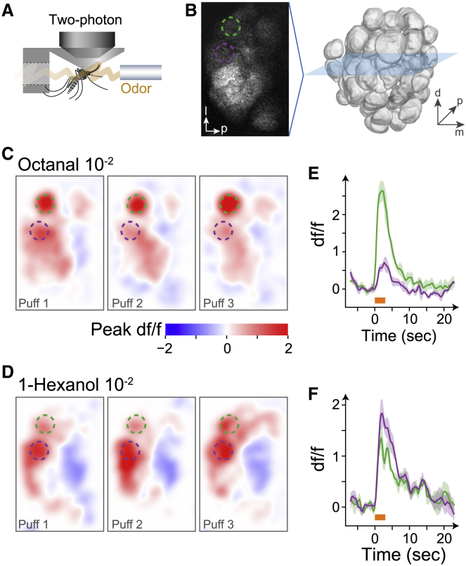 Figure 3