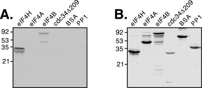 FIG. 9.