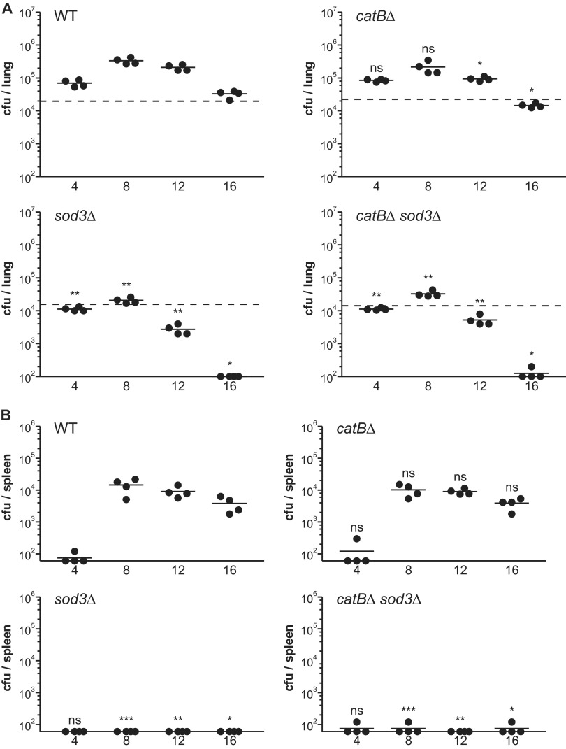 Fig 6