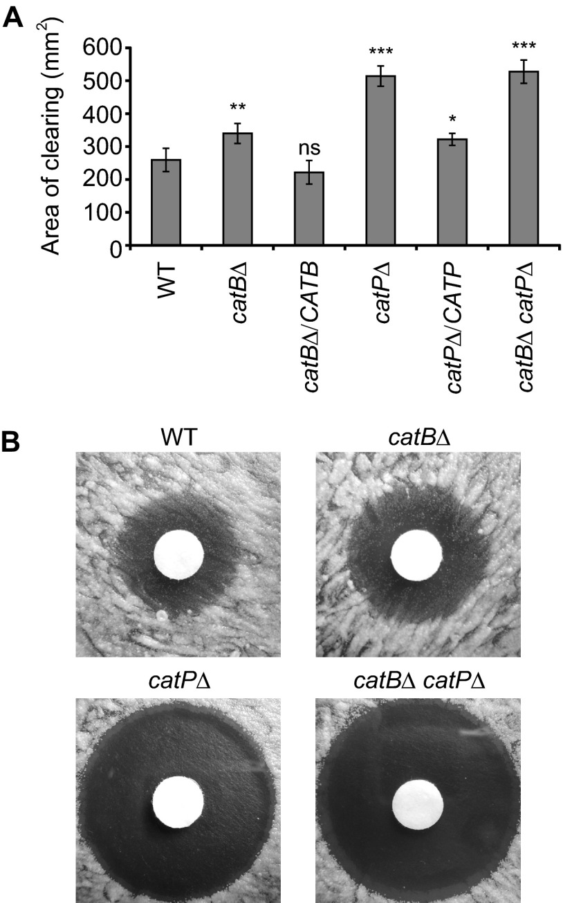 Fig 4