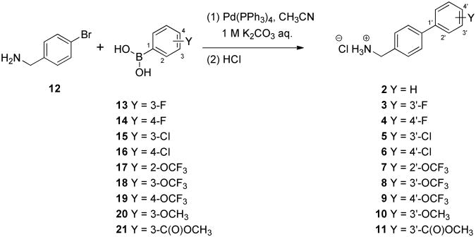 Scheme 1