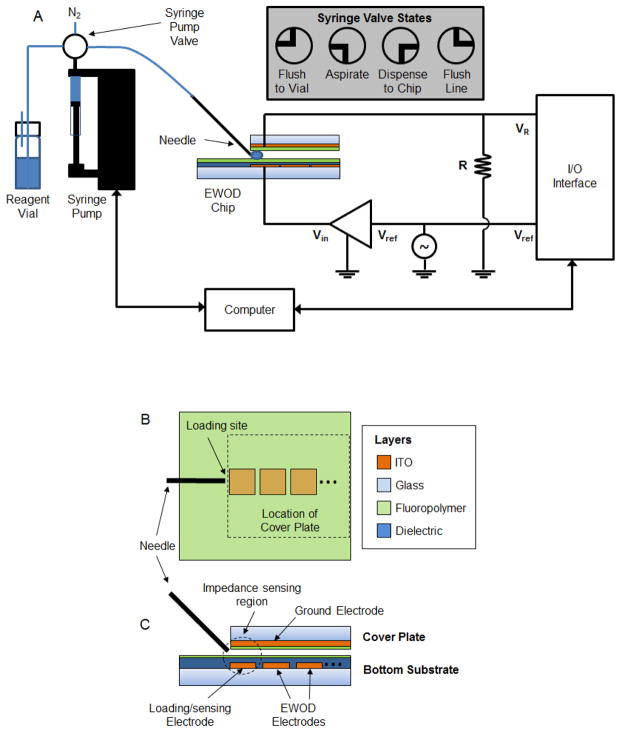 Fig. 1