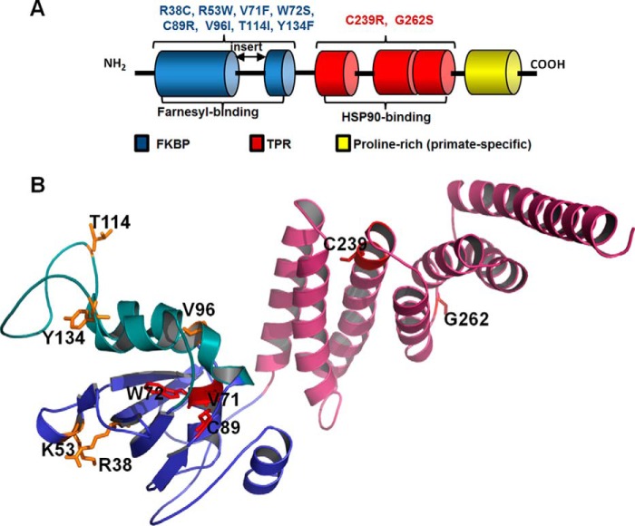 FIGURE 1.