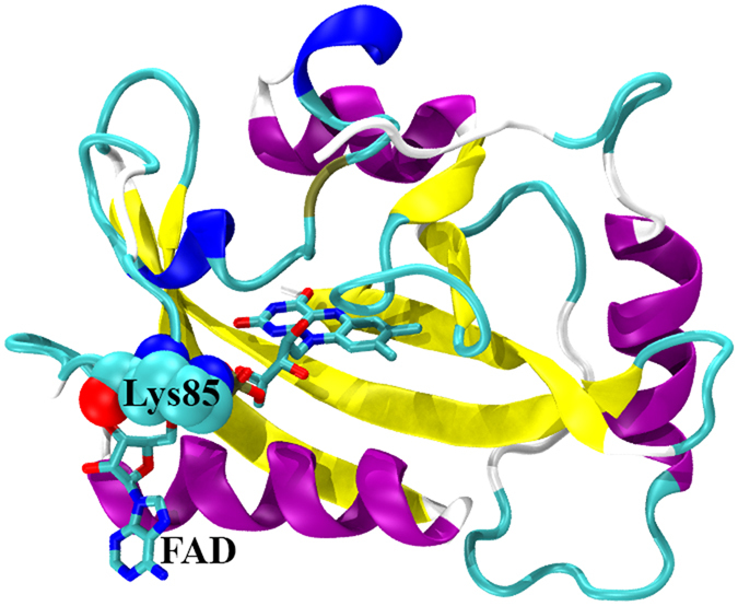 Figure 13