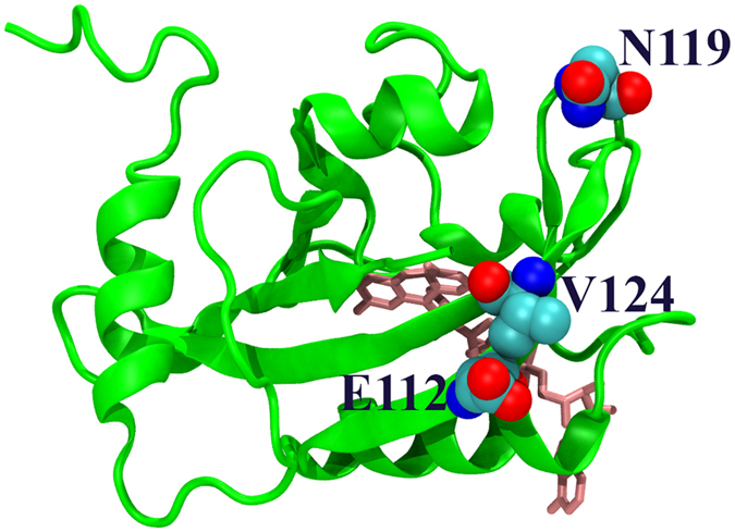 Figure 15