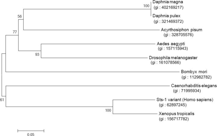 Fig. 5.