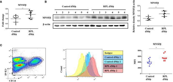 Figure 2