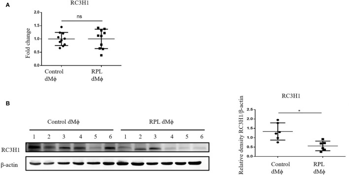 Figure 6