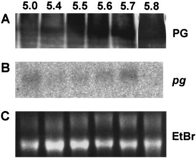 FIG. 8