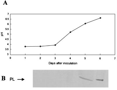 FIG. 1