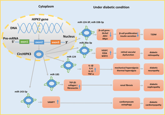 Figure 3