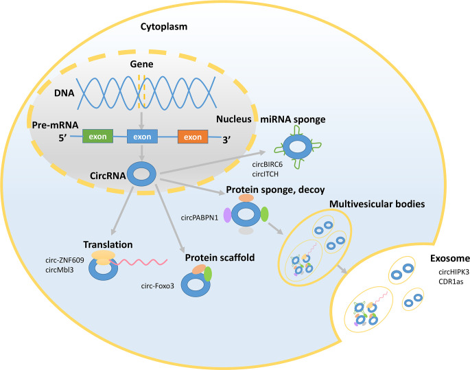 Figure 2