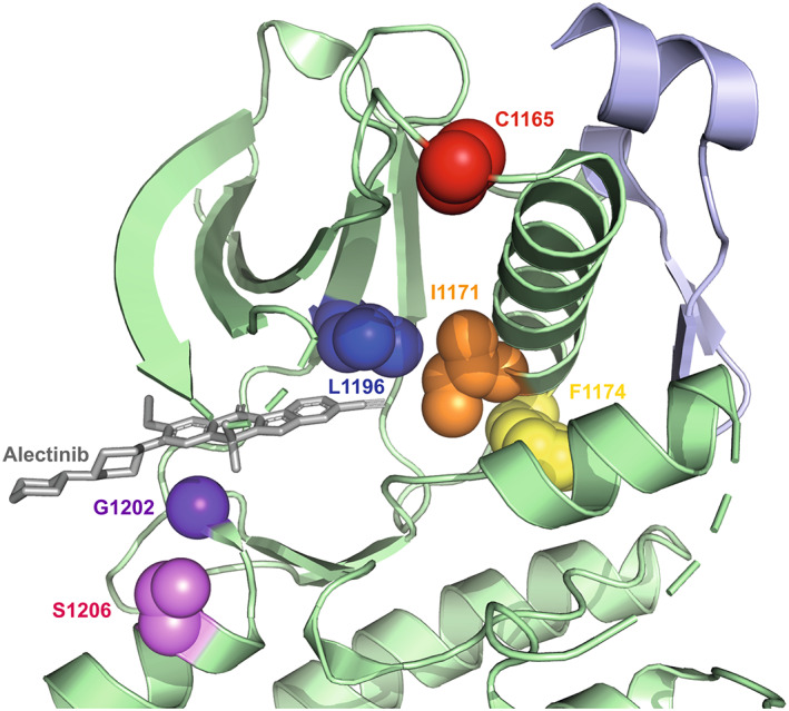 Fig. 2