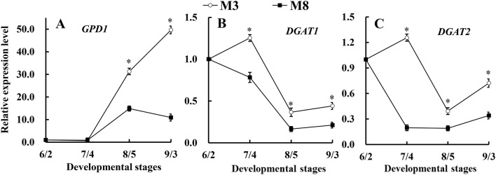 Fig. 8