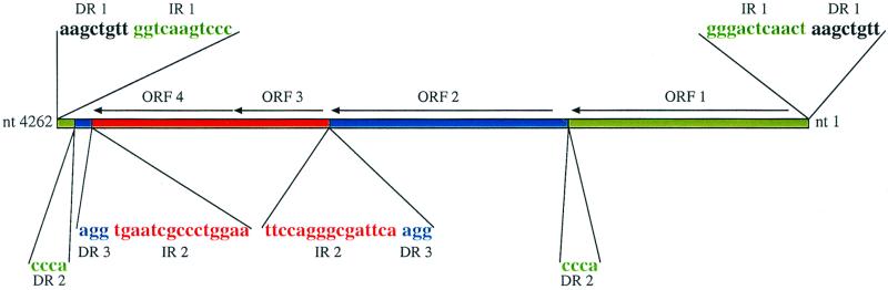 FIG. 2