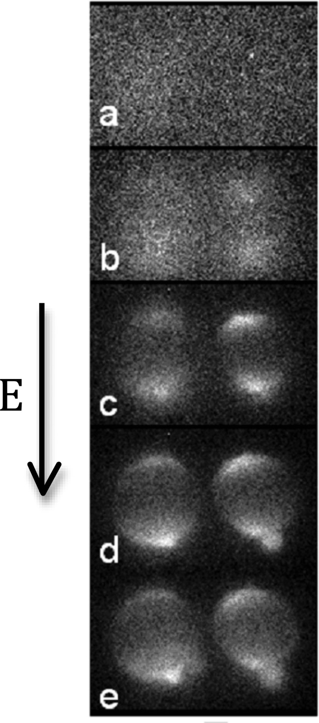 FIG. 6.