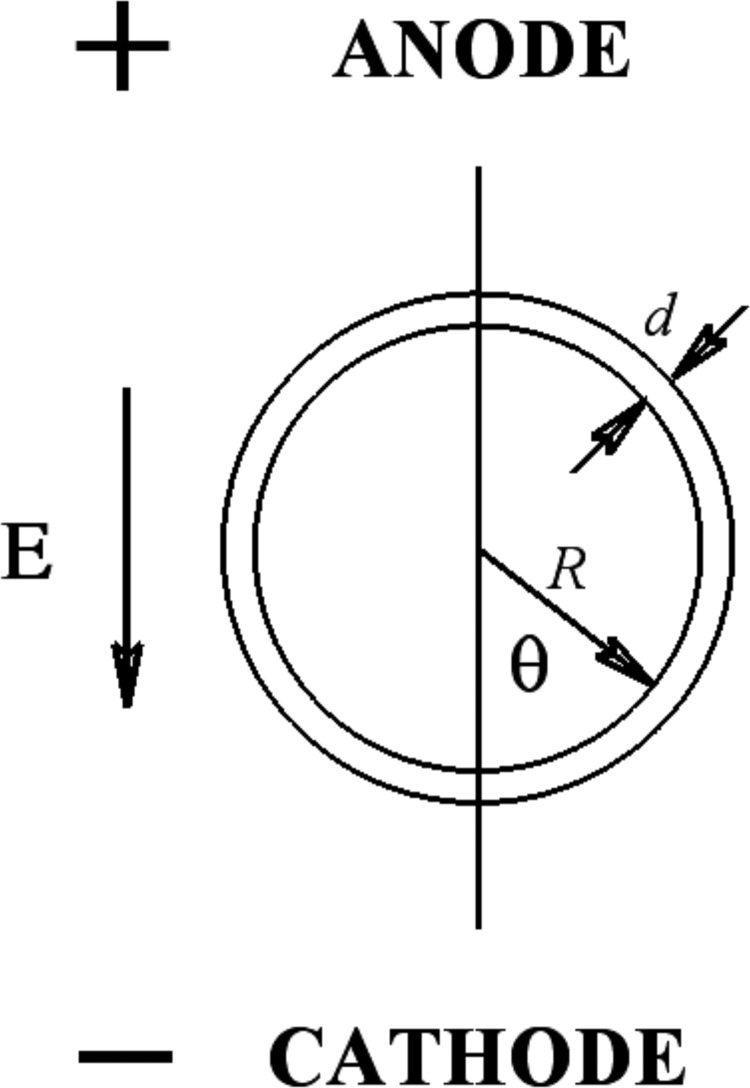 FIG. 1.