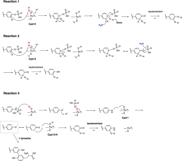 Fig. S7.