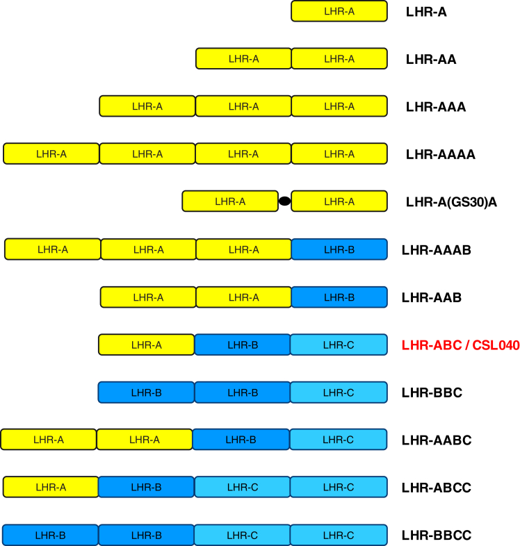 Figure 1