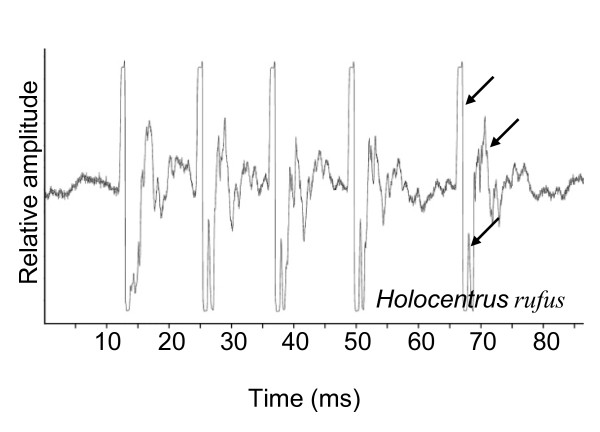 Figure 8