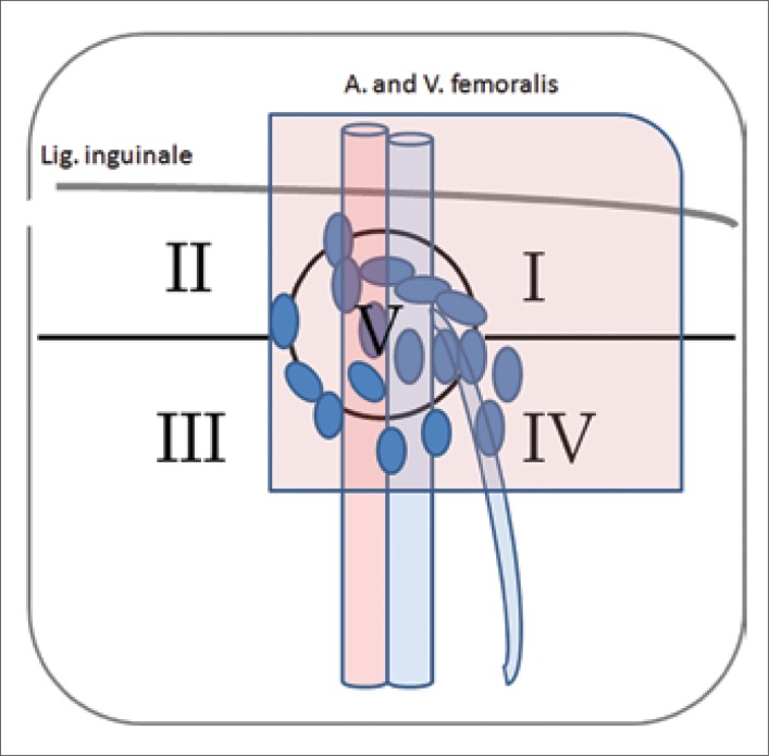 Figure 2C