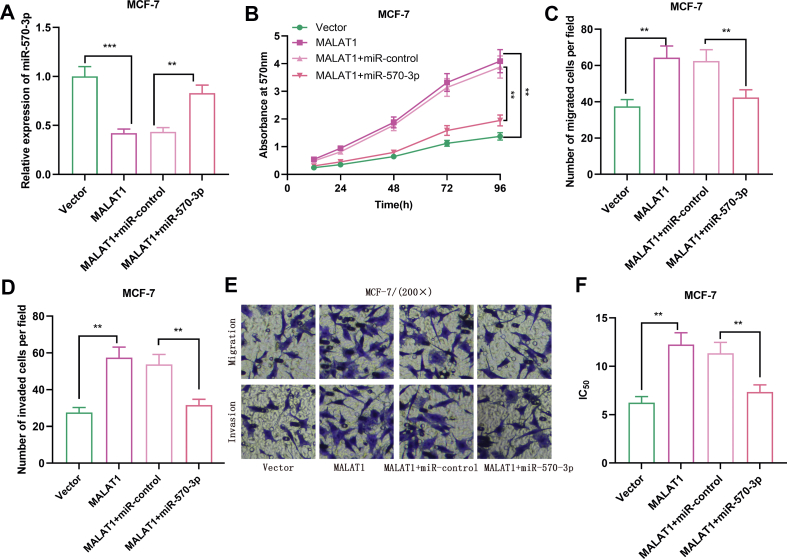 Fig. 6