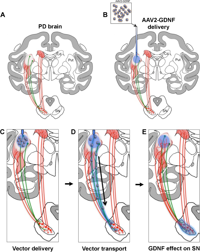 Fig. 1