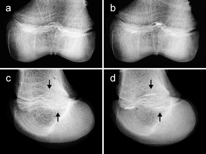 Fig. 6