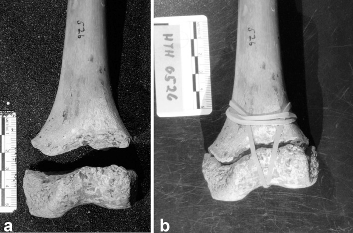 Fig. 1