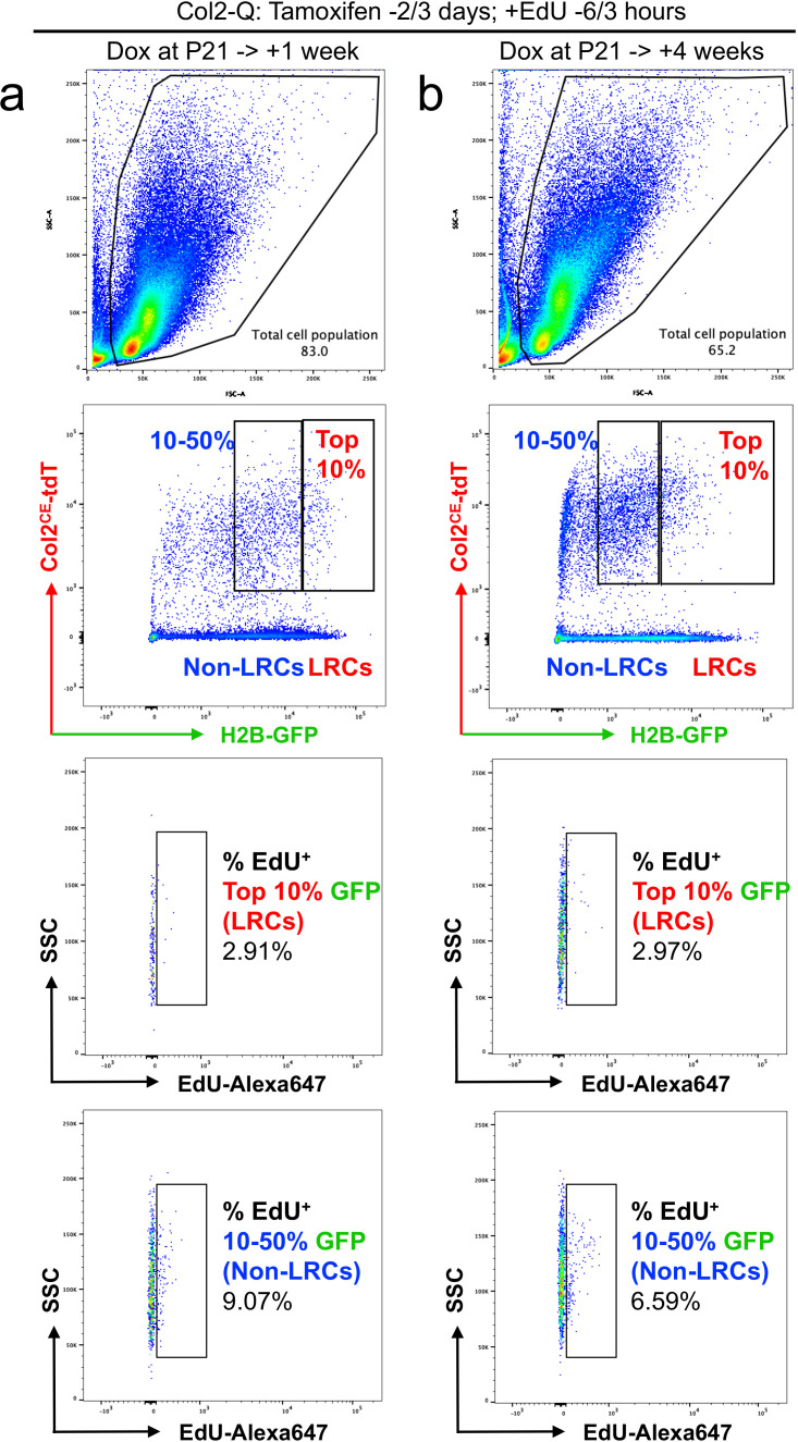 Figure 4—figure supplement 1.