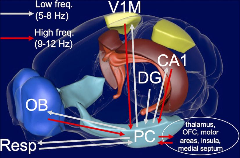 Figure 11.