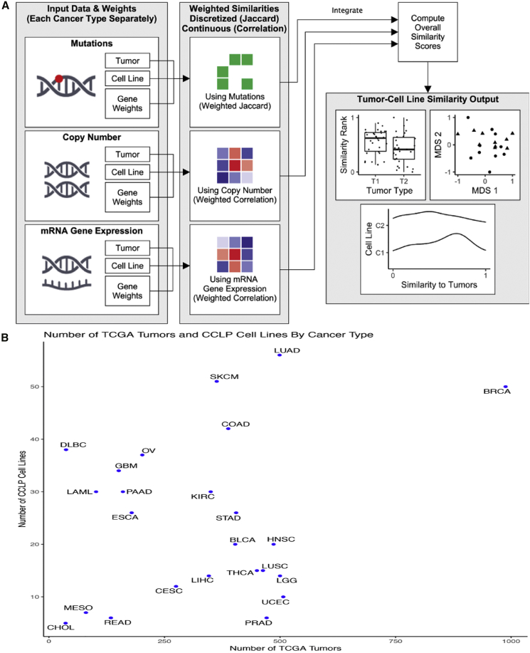 Figure 1