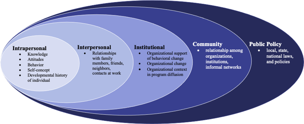 Figure 1: