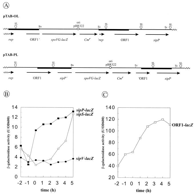 FIG. 4