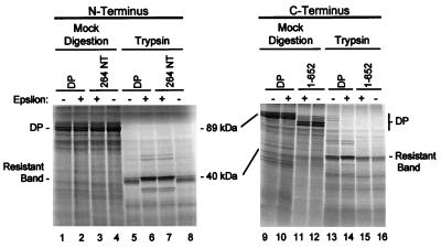 FIG. 7