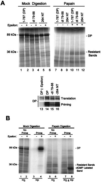 FIG. 5