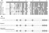 FIG. 2.