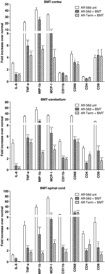 FIG. 6