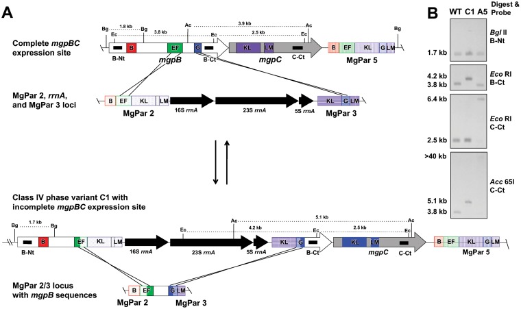 FIG 4