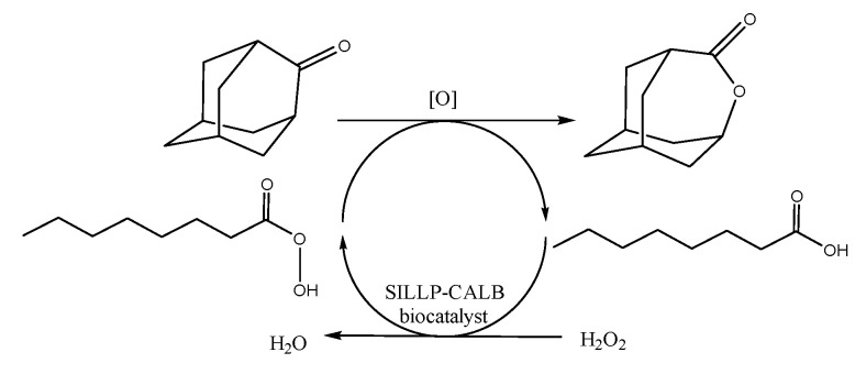 Scheme 4