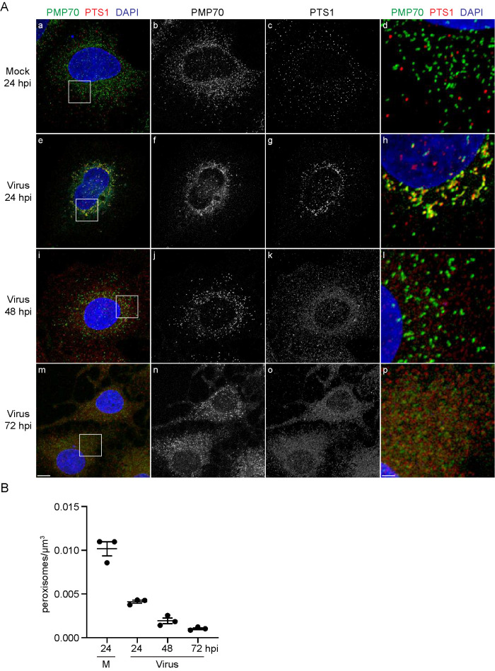 FIGURE 3: