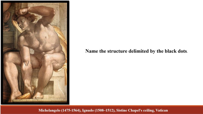 graphic file with name mep-9-19967-g0013.jpg