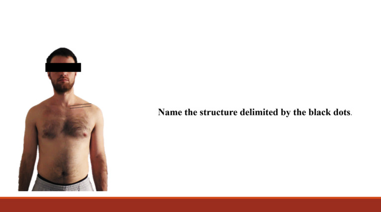 graphic file with name mep-9-19967-g0014.jpg