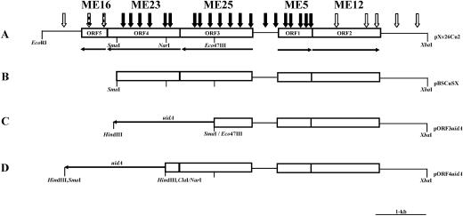 FIG. 2.