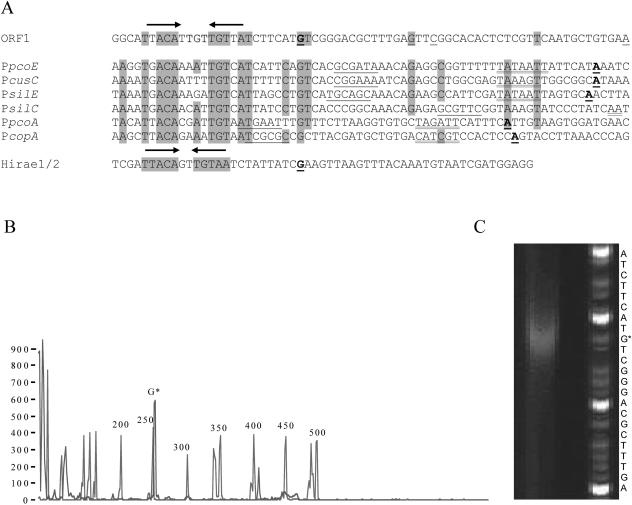 FIG. 3.