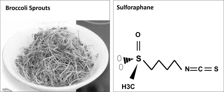 Fig. (1)