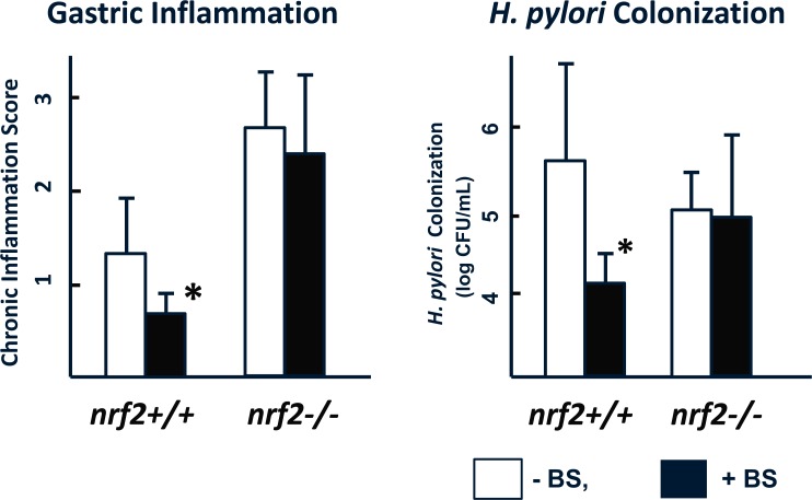 Fig. (5)