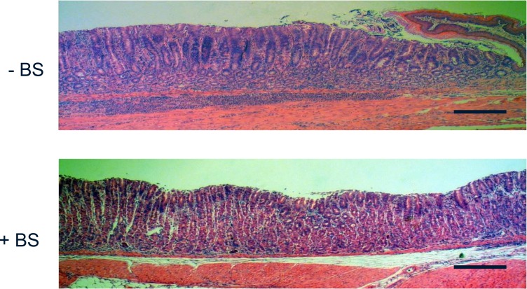 Fig. (4)